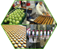 Industrie agro-alimentaire